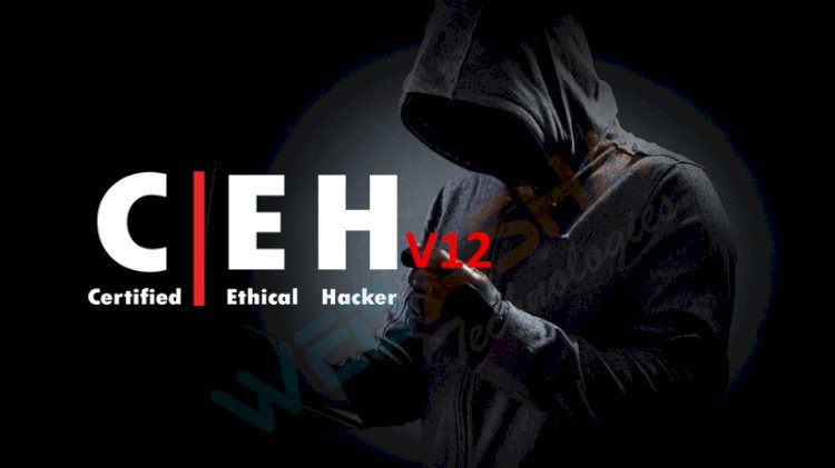 CEH V12 CERTIFIED ETHICAL HACKER ALL MODULES PDF