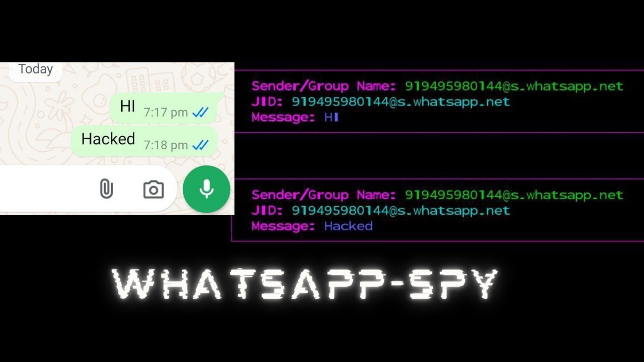 Whatsapp spy 2.0
